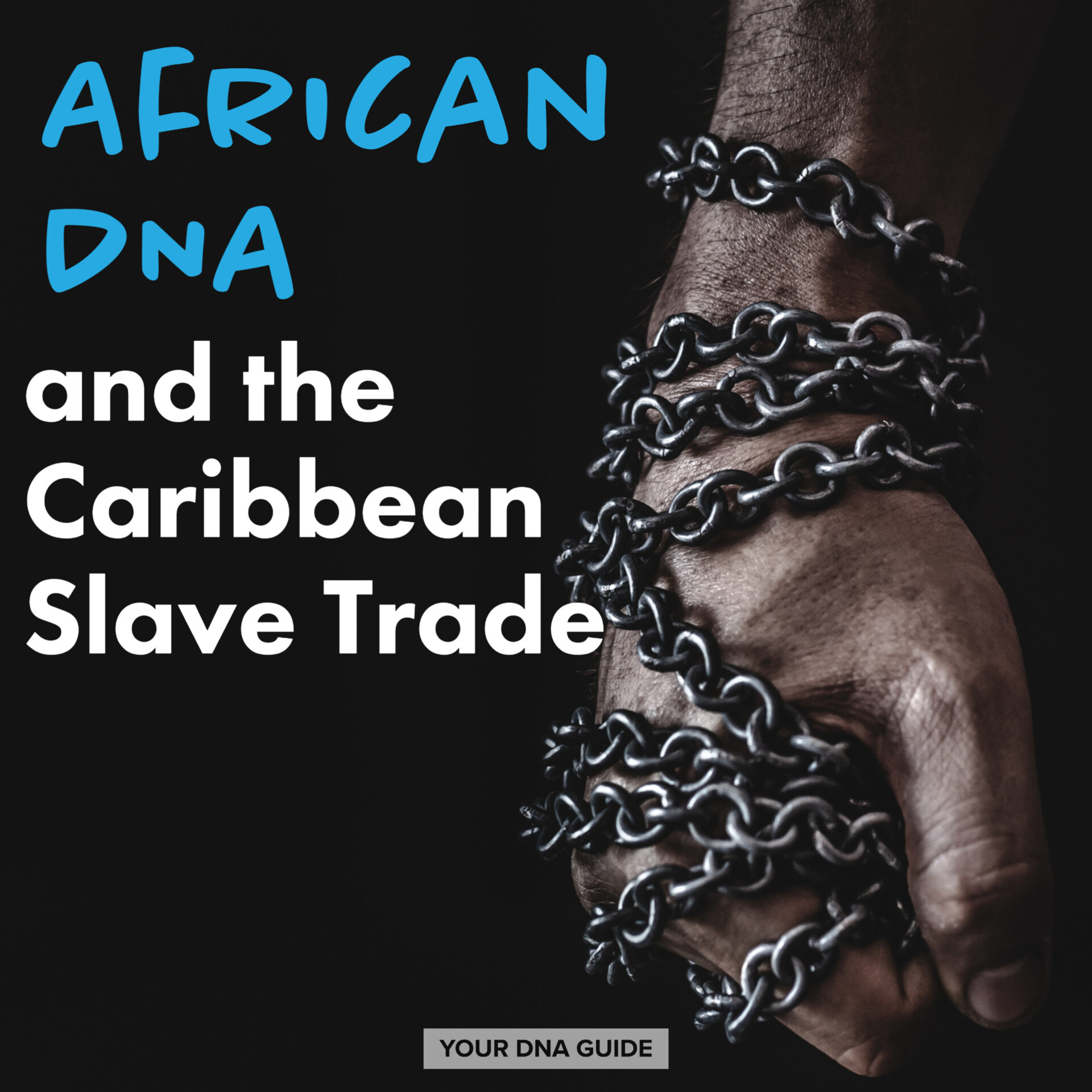 African DNA and the Caribbean Slave Trade