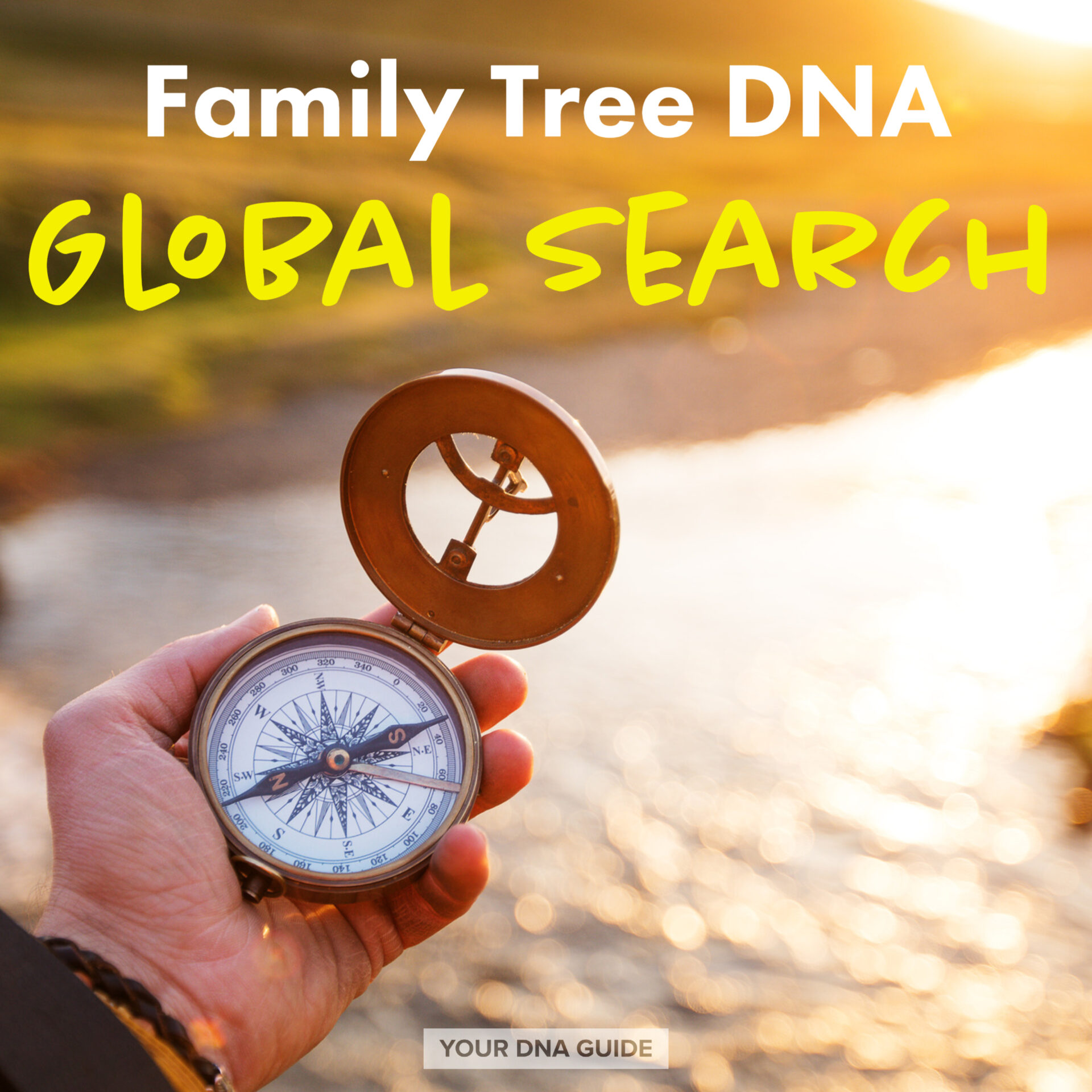 Family Tree DNA Global Search