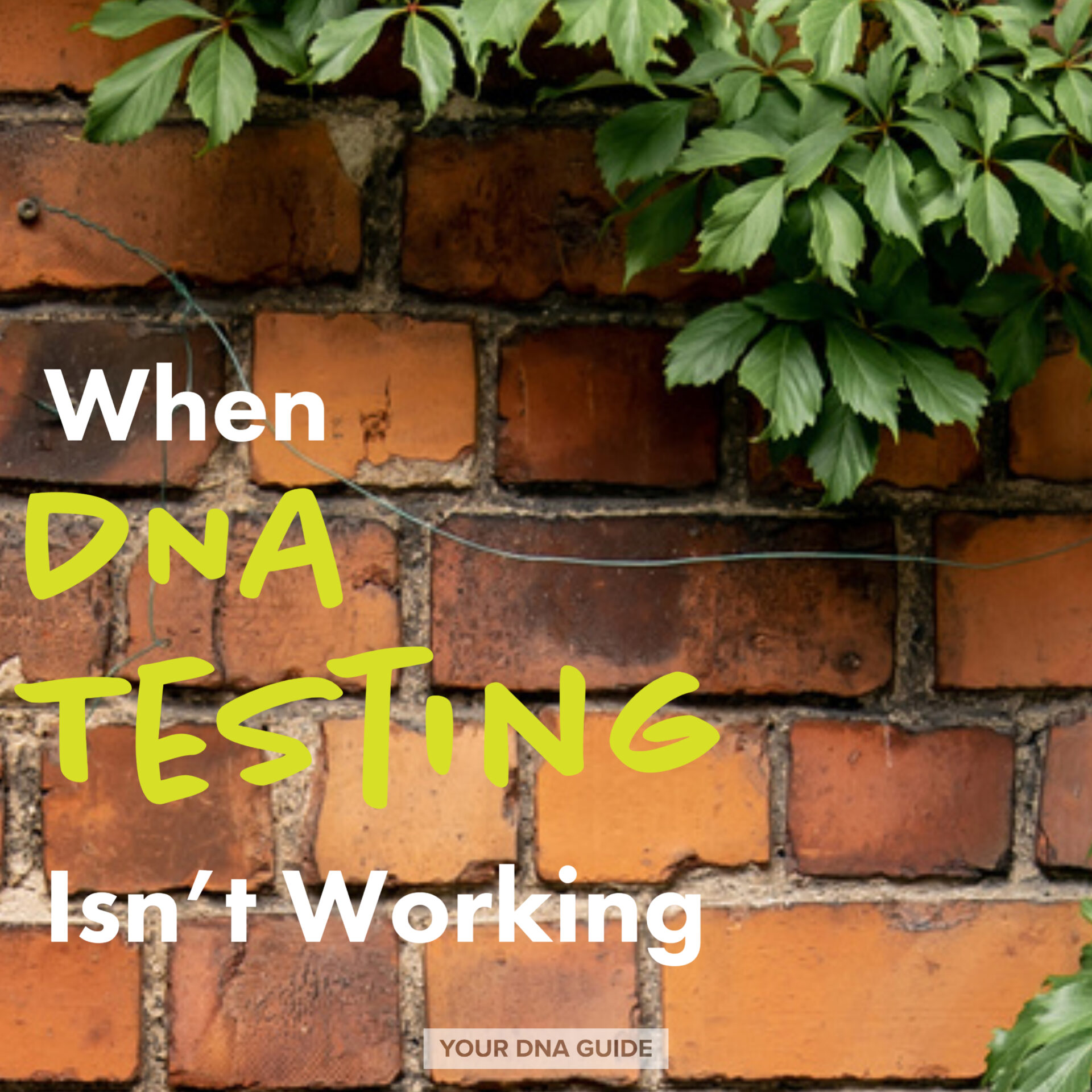 When DNA Testing “Isn’t Working!”