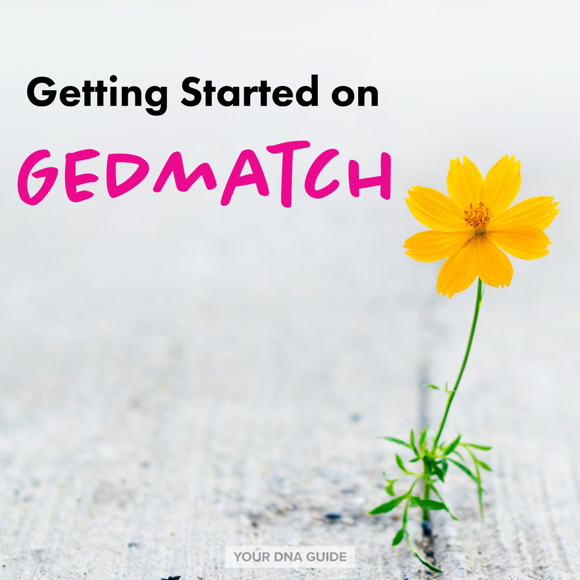 GEDmatch: Getting Started