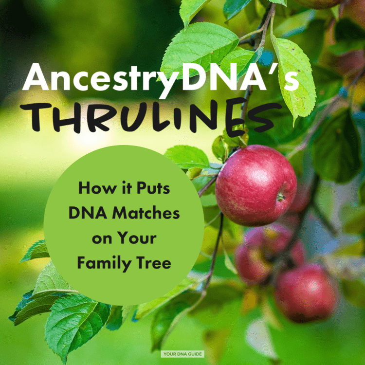 Use Ancestry ThruLines To Place DNA Matches on Your Tree