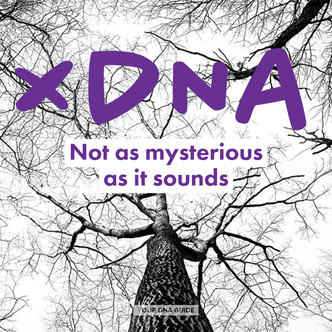 What is XDNA? Not As Mysterious As It Sounds