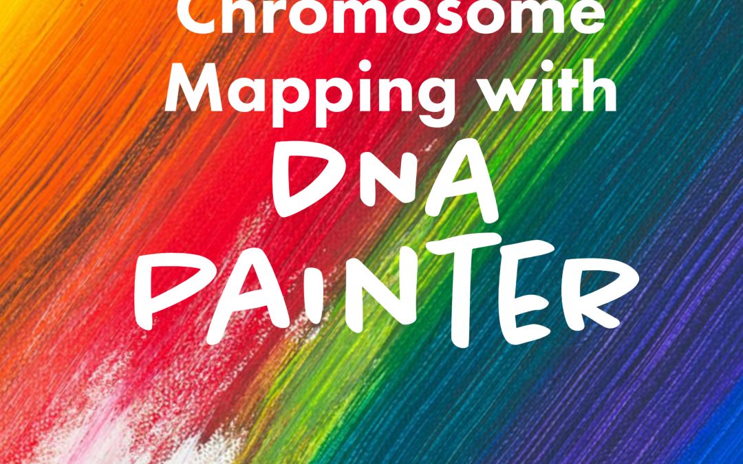 Chromosome Mapping with DNA Painter