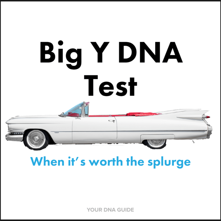 Big Y DNA Test: When To Use It