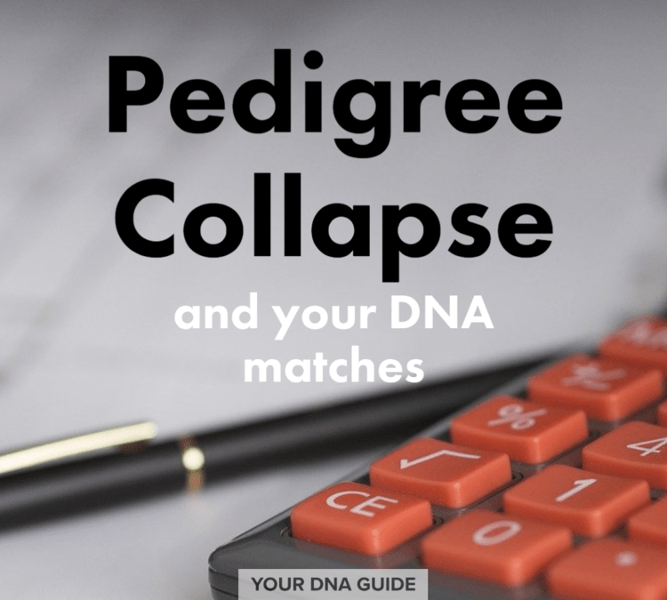 Pedigree Collapse and Your DNA Matches