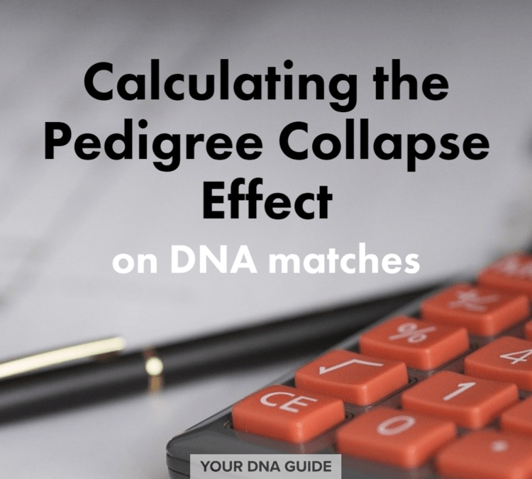 Calculating Pedigree Collapse on DNA Matches