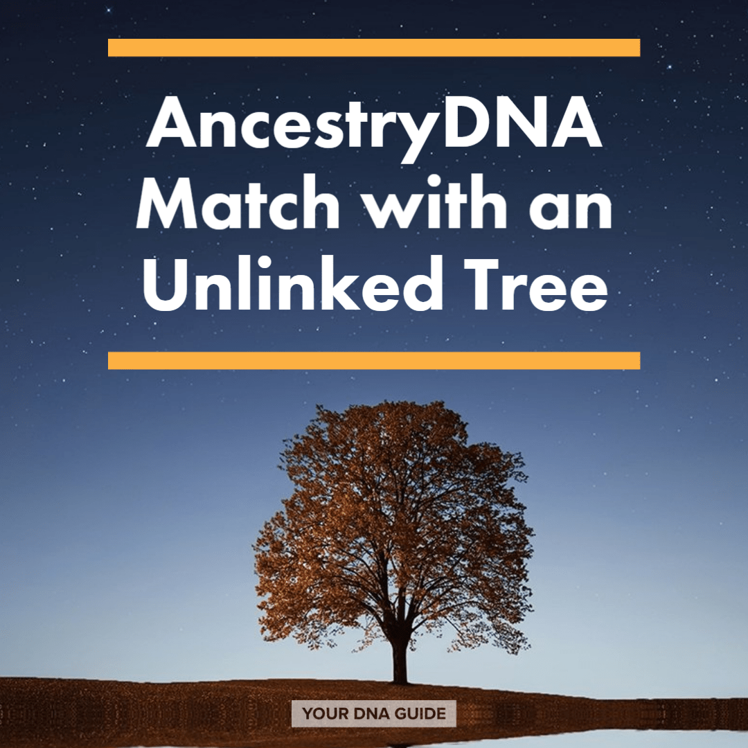 Help! AncestryDNA Match with Unlinked Tree