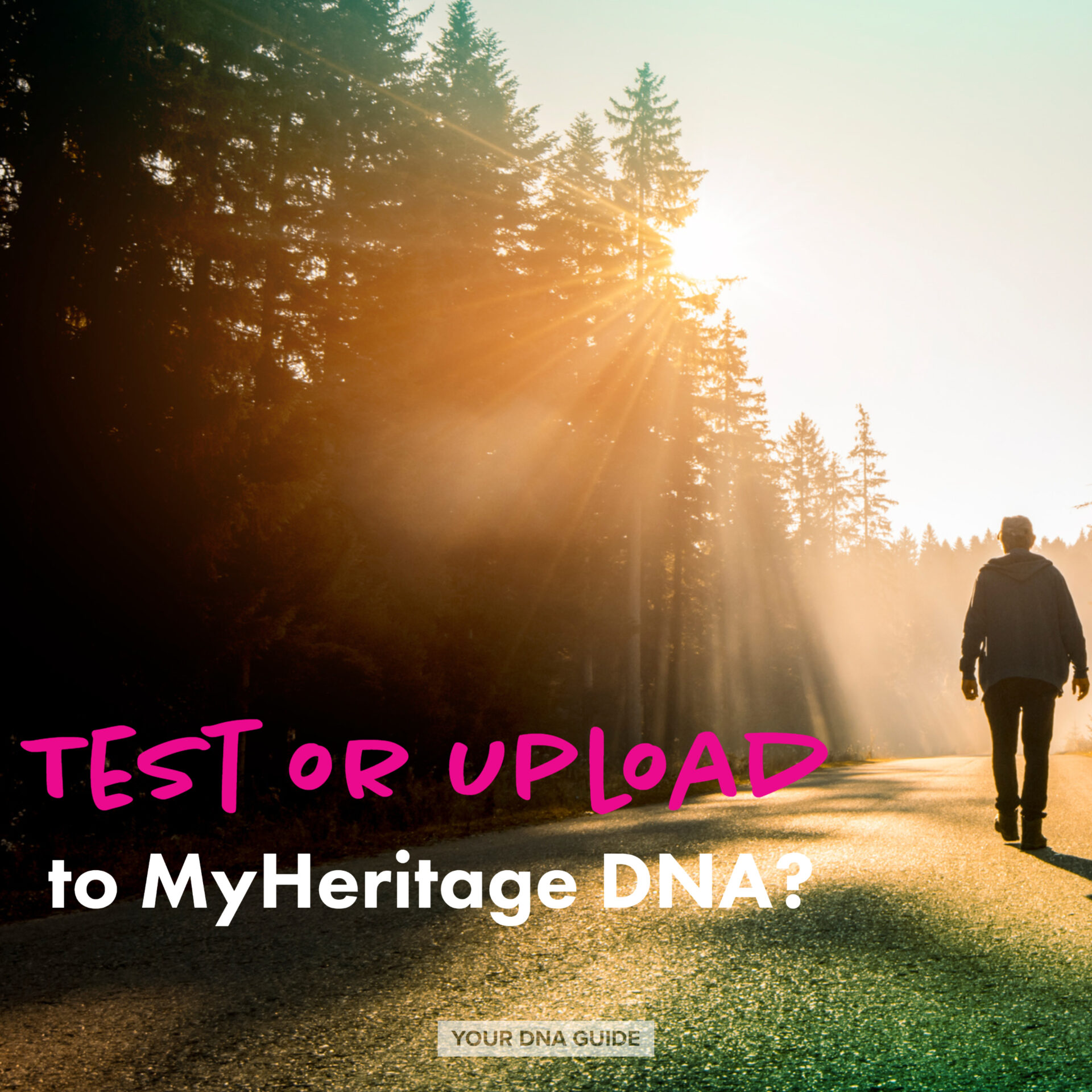 Test or Upload to MyHeritage DNA?