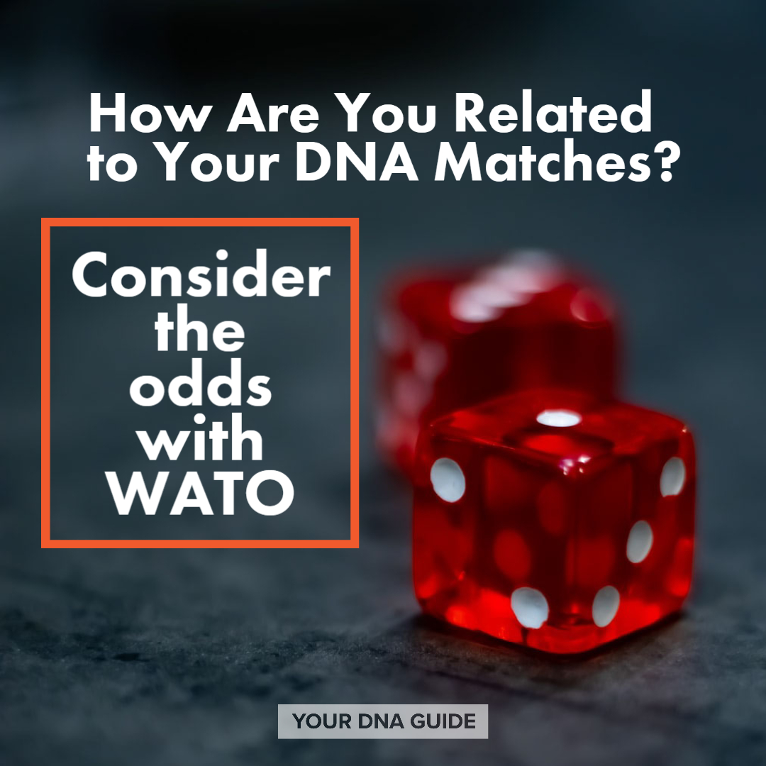 Use WATO to Explore DNA Match Relationships