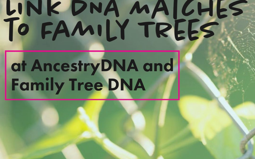 Link Your DNA Matches to Family Trees