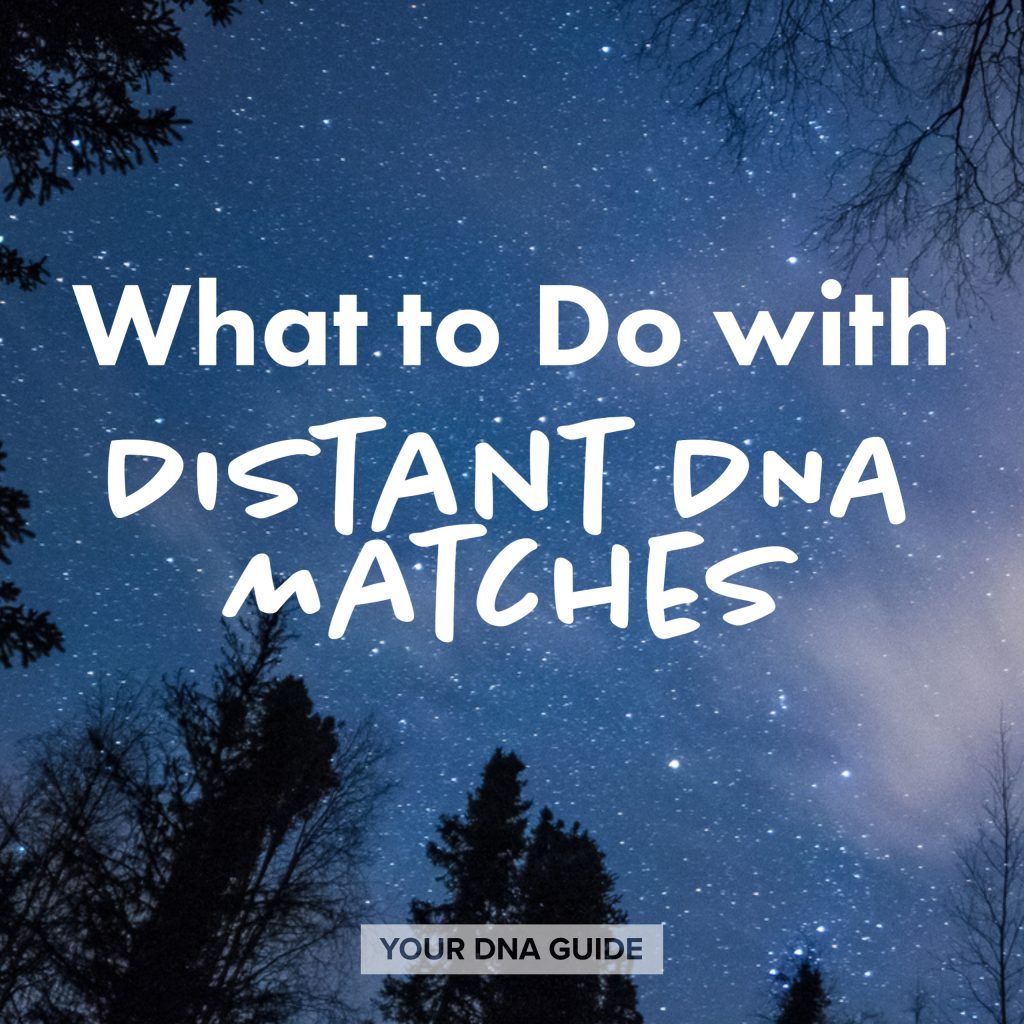 Distant DNA Matches What to Do with Them Your DNA Guide Diahan