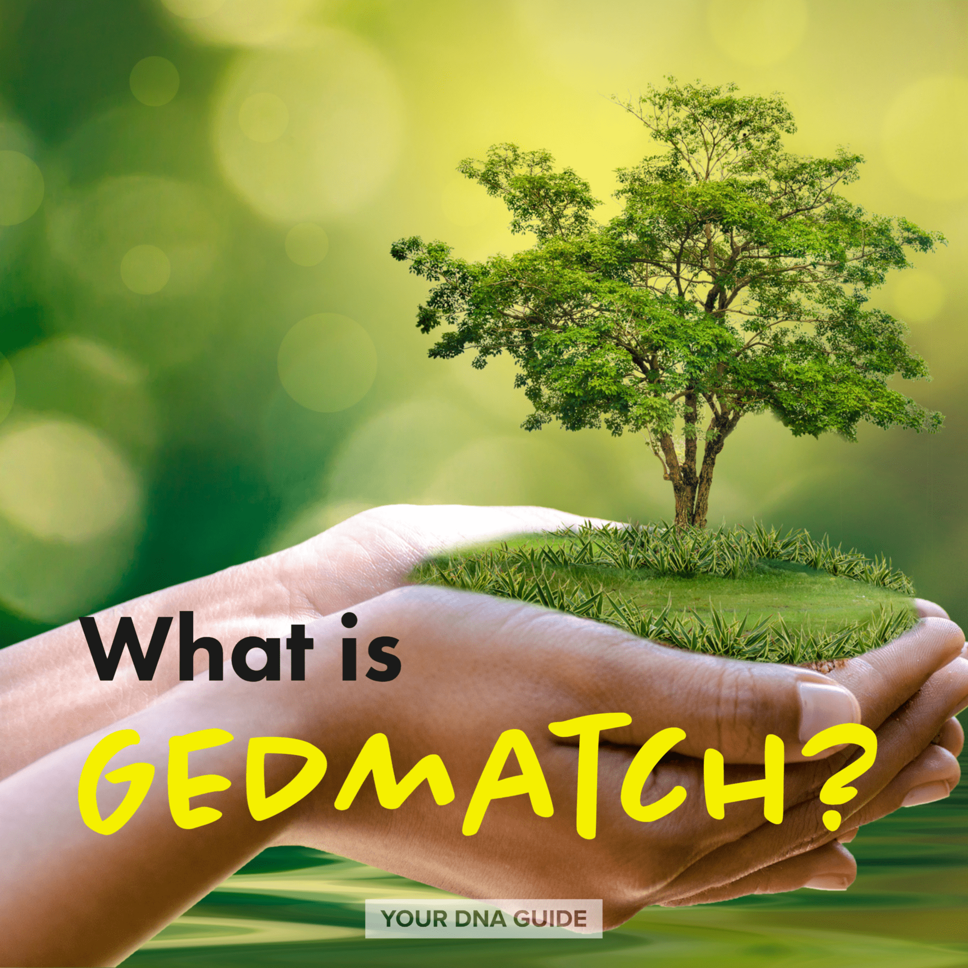 What is GEDmatch DNA GEDmatch GEDmatch Ancestry