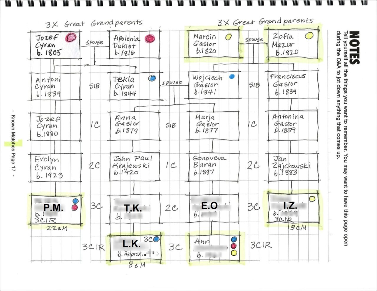 Genealogy Brick Wall Needed DNA: Finding a 3XGG - Your DNA Guide ...